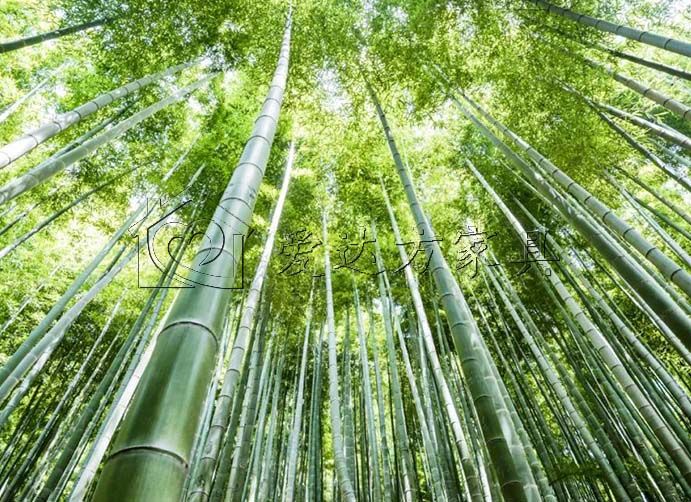 家居行业新材料